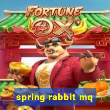 spring rabbit mq